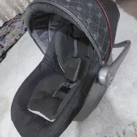 کریر|کالسکه و لوازم جانبی|کازرون, |دیوار