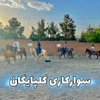 اولین مرکز آموزش آکادمیک سوارکاری ( اسب ) در منطقه