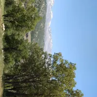 مدارک گم شده