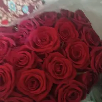 رز هلندی|گل مصنوعی|برازجان, |دیوار