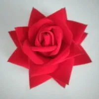 گل رز مخمل   کار در منزل داره