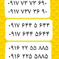 0916-69-916-90|سیم‌کارت|شیراز, شهرک گلها|دیوار