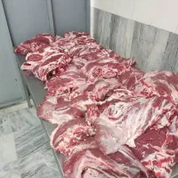 گوشت گرم/ گوشت شهرستان/ گوسفند|خوردنی و آشامیدنی|تهران, کوی بیمه|دیوار