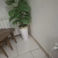 گل و گلدان نونو|گل و گیاه طبیعی|رباط‌کریم, نوده|دیوار