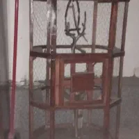 قفس چوبی ،پرنده