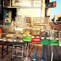 قفس های نو ودست دوم موجوده|لوازم جانبی حیوانات|خوی, |دیوار