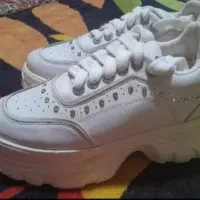 کفش مجلسی و روزمره شیک