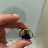 انگشتر شجر قائن