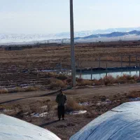 فروش دامداری|فروش دفتر صنعتی، کشاورزی، تجاری|تاکستان, |دیوار