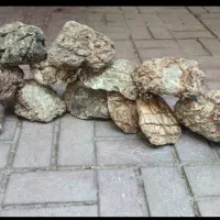 سنگ اکواریوم