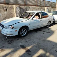 ماکسیما تصادفی