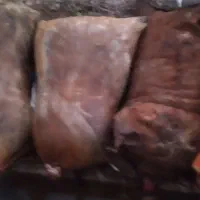 با سلام دوغ ترخینه تمیز وبهداشتی داخل مشک|خوردنی و آشامیدنی|گهواره, |دیوار