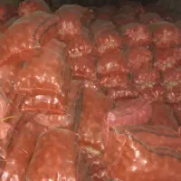 فروش سیب زمینی