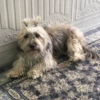 اهواز شهرک نور