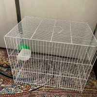 قفس پرنده