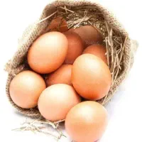 تخم مرغ