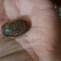 مهره عقیق تبتی|کلکسیون اشیاء عتیقه|تهران, زنجان جنوبی|دیوار