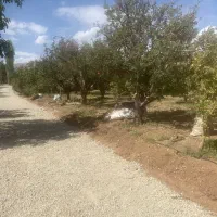 سند اب برق گاز باغستان بهار