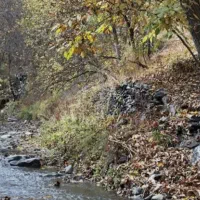 باغ کنار رودخانه