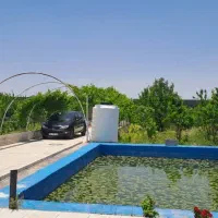 ۴۰ قصب ده قاضی سند تک برگ