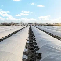 کاور« ضدسرمازدگی »|خدمات باغبانی و درختکاری|مرودشت, فاز اول شهرک فرهنگیان|دیوار