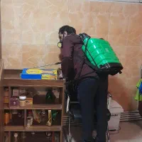 سمپاشی سوسک ساس تمام نقاط و حومه|خدمات نظافت|تهران, جیحون|دیوار