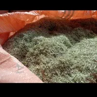 کاه خارشتر|لوازم جانبی حیوانات|گنبد کاووس, |دیوار