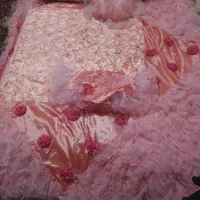 روتختی درحدنو