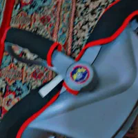 کریر|کالسکه و لوازم جانبی|زاهدان, |دیوار