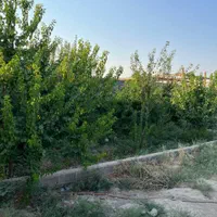 فروش زمین چهاردیواری ۷۰۰ متری نیمه کاره|فروش زمین و ملک کلنگی|رباطکریم, وهن آباد|دیوار