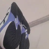 کفش والیبال اصل آسیکس نو سایز ۴۲|کیف، کفش، کمربند|بجنورد, |دیوار