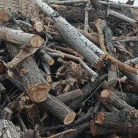 خریدار  انواع چوب  برش درخت خشک