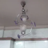 لوستردوشاخه سالم