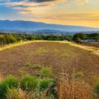 فروش-زمین-کشاورزی-با-آب-اختصاصی-دریان-گولی