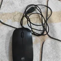 موس و کیبورد