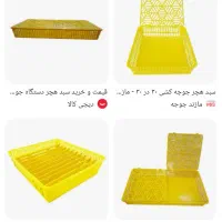 شانه وسبد هچروستر دستگاه جوجه کشی|لوازم جانبی حیوانات|لنجان, |دیوار