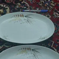 دیس چینی ۲ تا ایرانی قدیمی ۲ تا روسی قدیمی|ظروف سرو و پذیرایی|رشت, لاکانی|دیوار