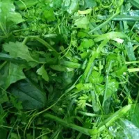 آموزش کار برای خانم ها