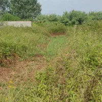 زمین۱۴۰متری کوی امام رضا بهار۲۸|فروش زمین و ملک کلنگی|رشت, کوی امام رضا|دیوار