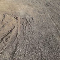 زمین تجاری فروشی‌‌  عکس ها مربوط به زمین نمیباشد