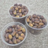 رطب