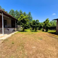 ویلاباغ ۷۰۰متری/سندتک برگ/ویوابدی|فروش خانه و ویلا|طاهرگوراب, |دیوار