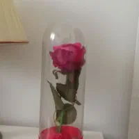 دوتا گل مصنوعی