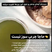چای ماچا|خوردنی و آشامیدنی|کرج, باغستان|دیوار