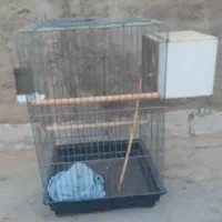 قفس بزرگ و کارتن خالی tcl