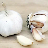 سیر درجه ۱
