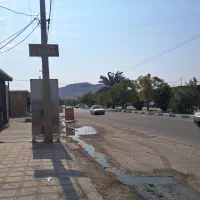 دینام پیچی برق خودرو