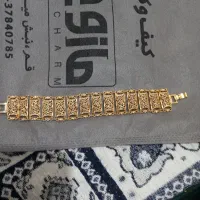بدلیجات