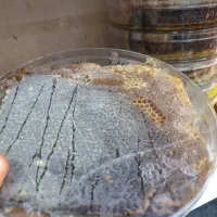 عسل طبیعی تبریز|خوردنی و آشامیدنی|پاکدشت, خاتون آباد|دیوار