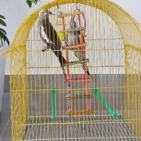 دوعدد عروس هلندی با قفس|پرنده|اهر, |دیوار